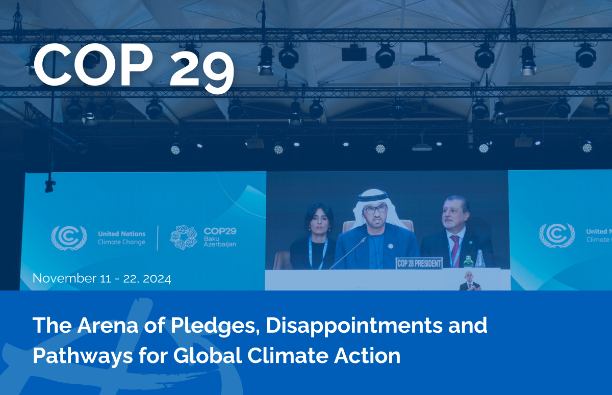 COP 29